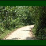 facebook_photo_download_115802295144523