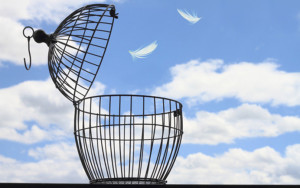 Stevan-Noronha-Freedom-Blog1