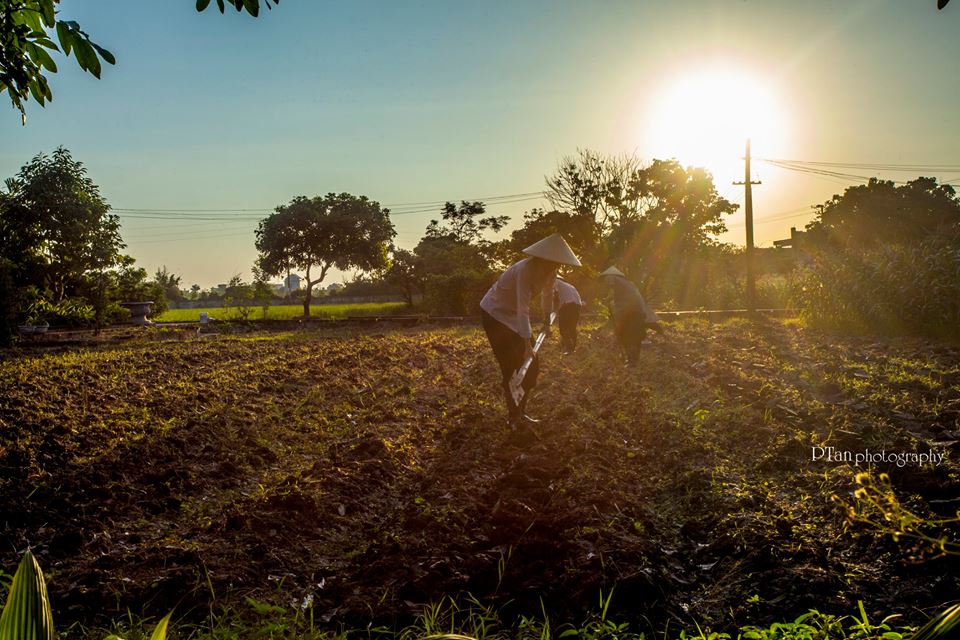 12341513_856592301120509_1132596512860687483_n