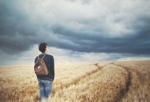 faf0704627c3613ac6c9760aeb0e888e4c736769