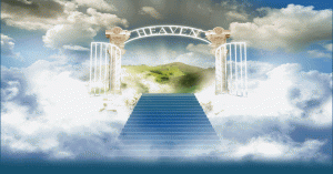 heaven-s-grocery-store_1