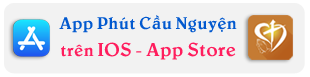 C�c s�ch của D�ng T�n