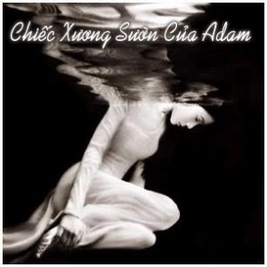 94E97648-8CF8-4286-A52F-209C60F4B6F5