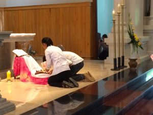 13731522_1454221224595407_4257730465506783806_n