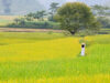 Quê hương