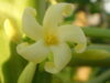 ELOGOS