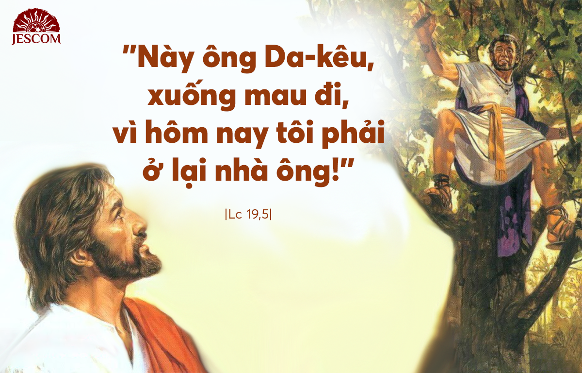 Tìm và Cứu (Chúa nhật 31 thường niên - Năm C) - Dòng Tên Việt Nam-Dòng Chúa Giêsu